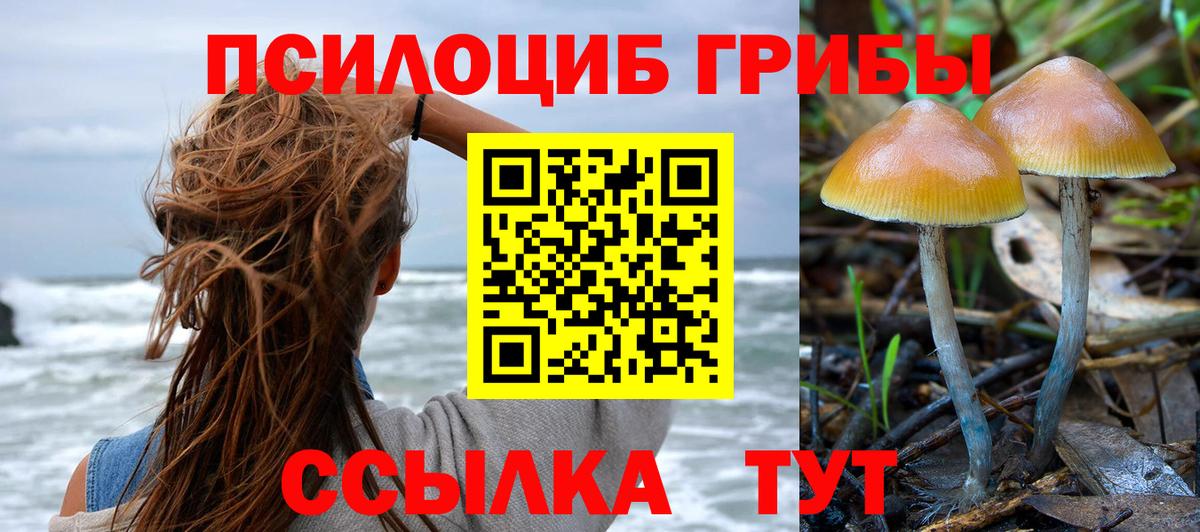 Саров  как найти закладки  Вход с VPN  Галлюциногенные грибы мицелий 